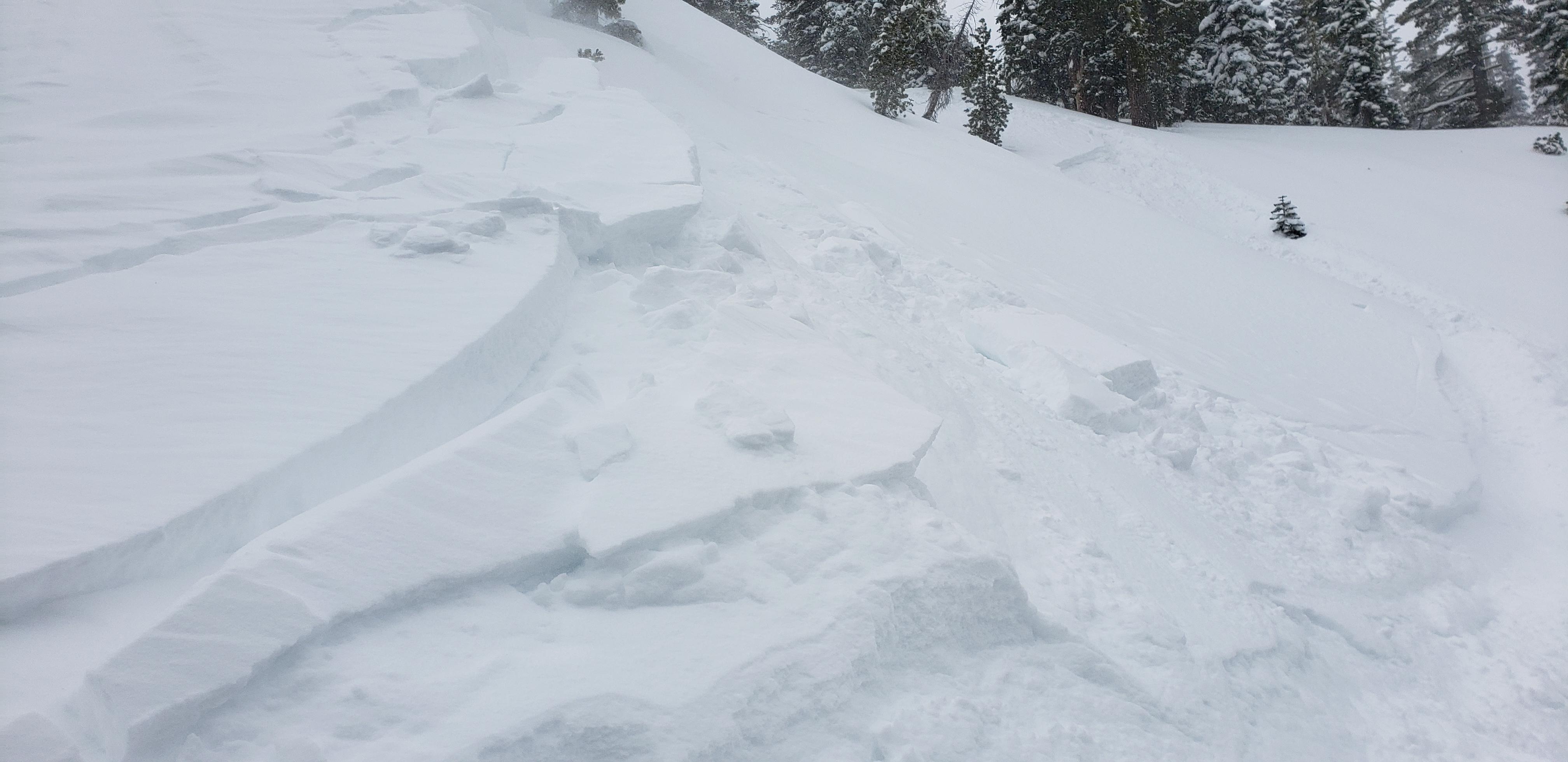 Ski cut triggered avalanche | Sierra Avalanche Center