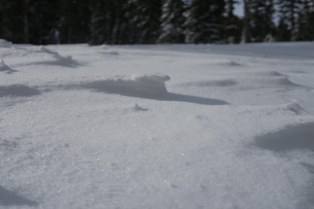  Wind affected snow near the base of Powderhouse. 