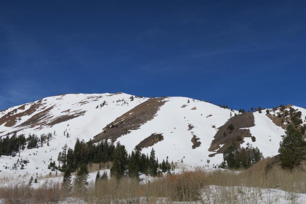  Little evidence of recent <a href="/avalanche-terms/avalanche" title="A mass of snow sliding, tumbling, or flowing down an inclined surface." class="lexicon-term">avalanche</a> activity on south facing slopes of Red Lake Peak. 