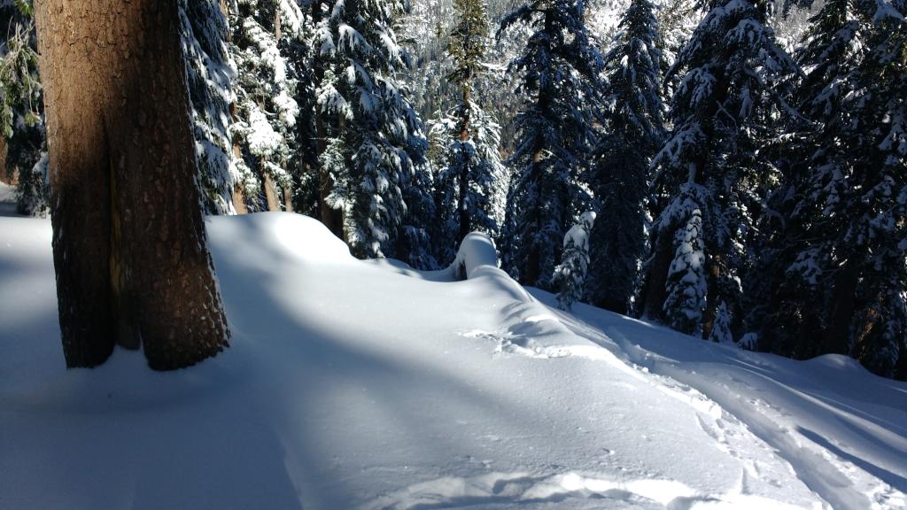  Significantly improved coverage at ~8,700&#039;. Recent storm snow amounts of ~30cm on top of 12/15 <a href="/avalanche-terms/rain-crust" title="A clear layer of ice formed when rain falls on the snow surface then freezes." class="lexicon-term">rain crust</a>. 