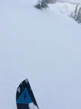 This crack shot out approximately 40 feet in front of my ski.