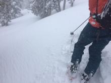 Shooting cracks off of skis while skinning up, at 9000' on a NE aspect.
