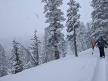 Snowy weather and limited visibility during the tour.