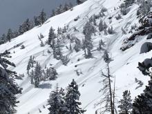 Skier/snowboarder triggered hybrid loose wet/dry on SE aspect Incline Peak.