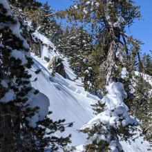 Climbers left half of avalanche that extends out of view.