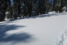 Low angle sunny slopes on Becker Ridge had runnels under a melt freeze crust capped by Surface Hoar.