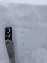 Upper snowpack on NE aspect at 9100'