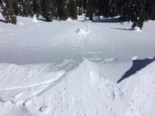 Cornice drops onto wind loaded slope with no results.