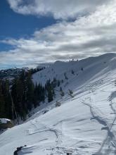 Numerous tracks on steeper NE terrain