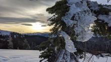 Rimed trees on Castle Peak