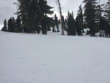 Snow transporting across the slope by saltation.