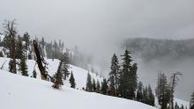 Mist and warm temps all the way to the top of Silver Peak. 