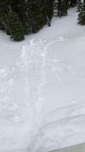 Ski kicks produced small roller balls and pinwheels in the wet snow. 