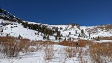 Snow cover above 8600 ft. 