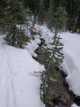 Many open water areas and flowing creeks.