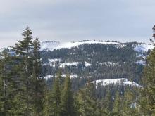 Looking across at the Mt. Lola summit bowl (8,800' to 9.000' N-NE-E aspects), snowcover appeared decent.