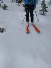 Supportable wet snow, corn like conditions on NNE aspects we traveled in the 7,800' to 8,500' elevation range.