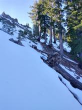 N aspect avalanche path at about 7,800' with patchy snow cover.