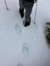 12 inches of boot penetration into weak snowpack near snowpit site.