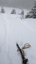 Roller balls in new wet snow at pit location, 8,680'.