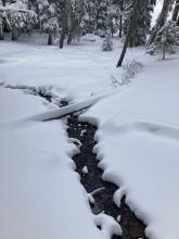 Still running water in creeks along the way towards Elephants Back.