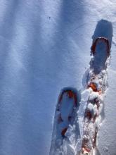 Small cracking around skis failing on a small thin crust below the recent storm snow. 