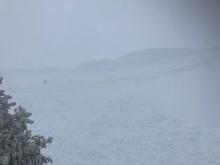 Natural wind slab avalanche most likely caused by cornice collapse