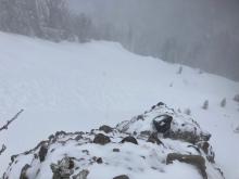 Avalanche debris running down into larger gully feature.