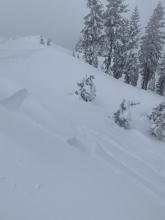 Small natural wind slab avalanche near Castle Peak