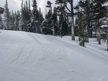 Wind effected snow below tree line.