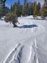 Wind transport at 10:30AM. Old snowmobile track