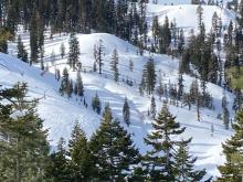 Raised tracks and wind texture in open areas well below treeline terrain