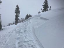 6-8 inch deep wind slab on a small wind-loaded test slope.