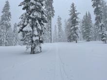 3-4" of new snow @ 7600' @ 10:00am