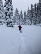 Thigh to waist deep trail breaking