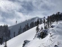 Looking up towards Silver Peak