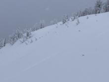 Small, 4-inch-deep, soft wind slab avalanche triggered from my ski track about 20 ft away. 