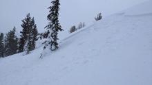 6-inch deep soft wind slab triggered by a ski cut on this test slope.