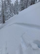 Naturally occurring cracks within the new storm snow on a convex rollover (trigger point)