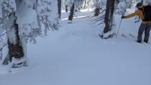 10-12 inches of settlement in the trees adjacent to Tahoe Meadows. 