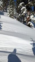 Sastrugi and wind drifts in near-treeline terrain.