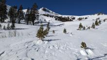 East bowl of Stevens Peak