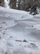 Evidence of wind eroding snow on the tree line ridge 