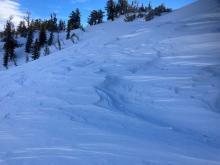 Near treeline terrain wind scouring and sculpting  