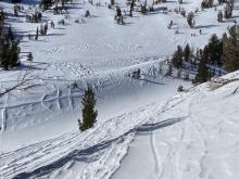 Raised tracks from the recent wind scouring.