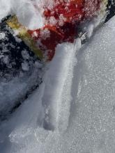 Thick Ice crust from the recent rain event Monday. 