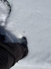 40cm of boot penetration around 8200'.