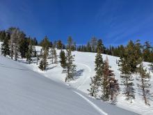 Snowboard turns did not produce roller balls on solar softened slopes.