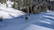 Natural wind slab avalanche form the Jan 3rd/4th cycle as seen on Jan 8.