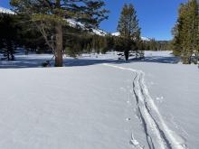 1" of dust on crust in protected areas below tree line.